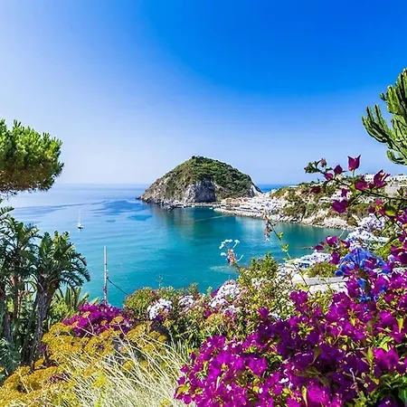 Michelina Ischia