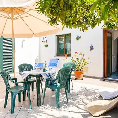 Michelina Ischia