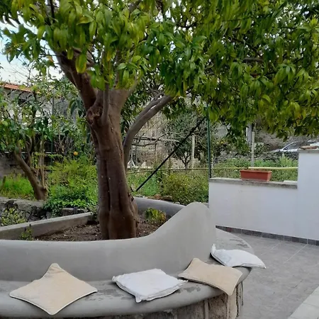 Apartment Michelina *