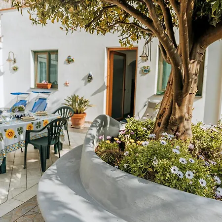 Appartamento Michelina Barano dʼIschia